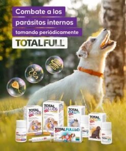 Antiparasitario Perro